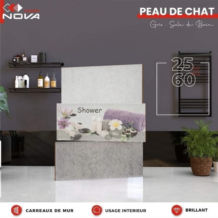 Faïence peau de chat gris clair et fonce - 25x60 cm - finition brillante