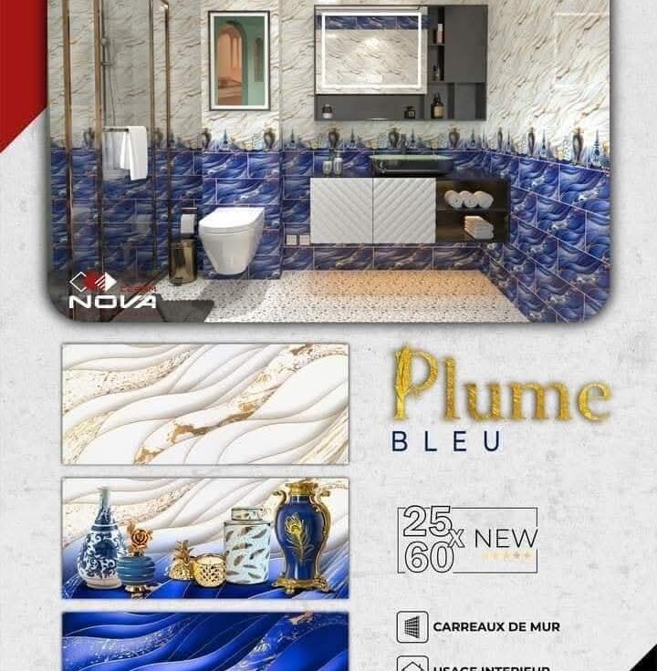 Faïence Plume Bleu et Blanc avec Doré -25x60 cm -Motif salle de bain