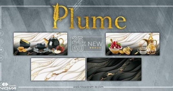 Faïence Plume Noir  et Blanc avec Doré -25x60 cm -Motif Cuisine .