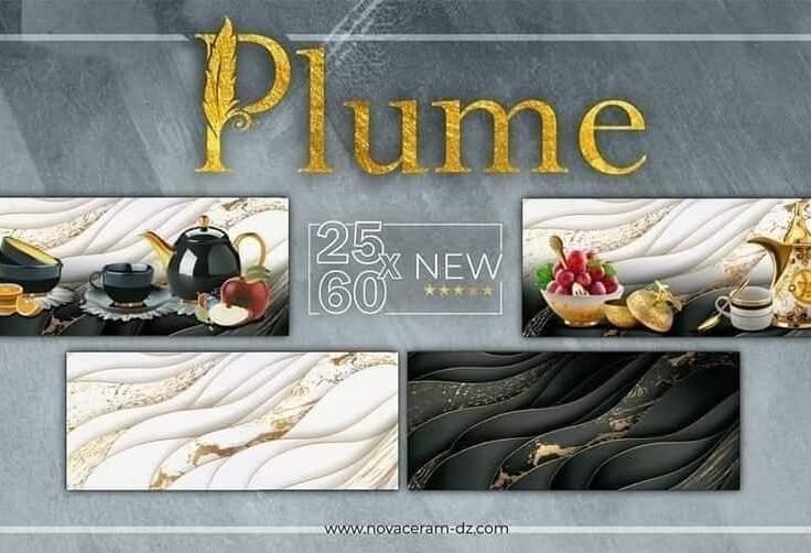 Faïence Plume Noir  et Blanc avec Doré -25x60 cm -Motif Cuisine .
