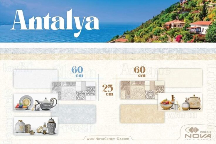 Faïence Antalya Beige Clair et Fonce -25x60 cm - Cuisine  et Mosaïque.