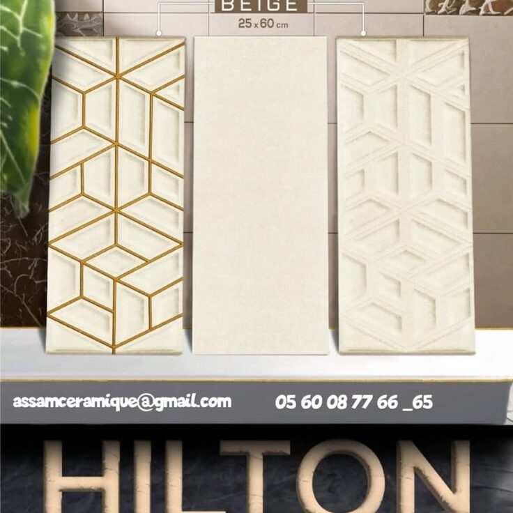 Faïence Hilton Beige   -25x60 cm -  3D .