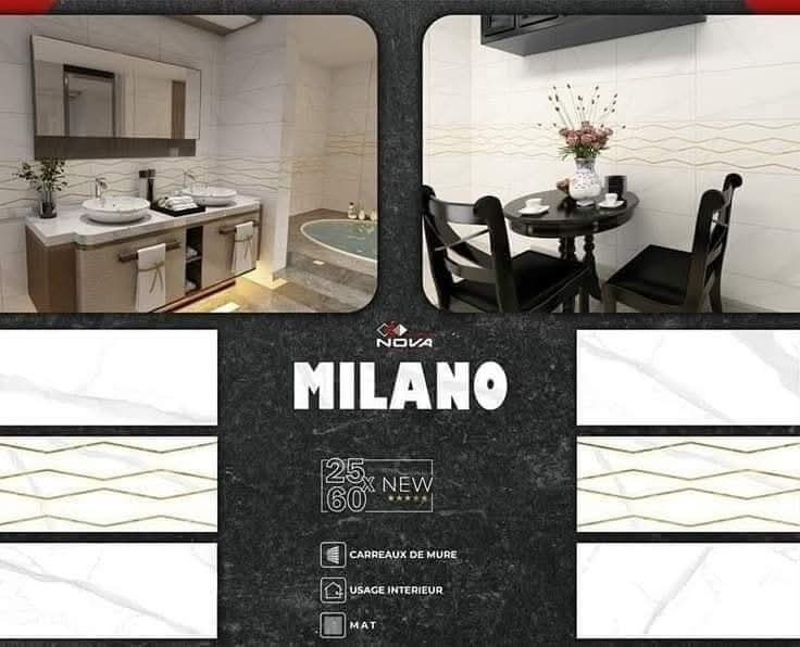 Faïence Milano blanc marbré -25x60cm- motif 3D .