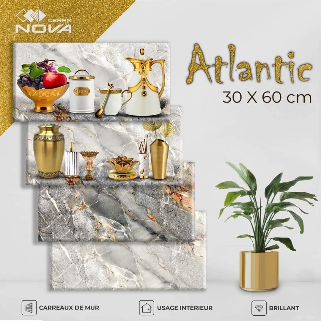 Faïence Atlantique 30x60 cm- Gris Claire et Foncé - motif Cuisine .