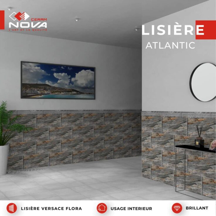 Faïence Atlantique sous-bassement 30x60 cm-Gris marbré + lisière de 10x60cm.