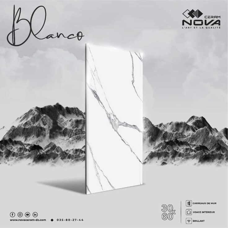 Faïence Blanco sous-bassement 30x60 cm-Blanc marbré + lisière de 10x60cm.