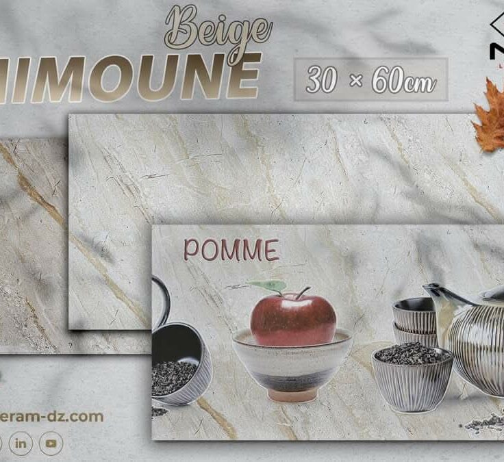 Faïence Timimoune 30x60 cm- Beige Claire et Foncé - motif cuisine.