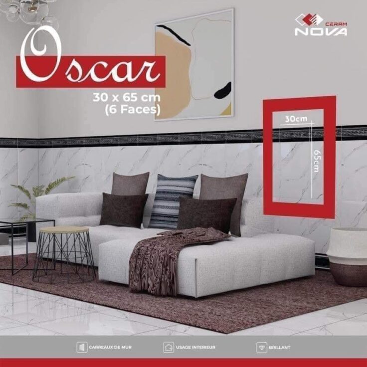 Faïence Oscar - sous-bassement 30x65cm-Blanc marbré -avec lisière et plinthe intégrée .