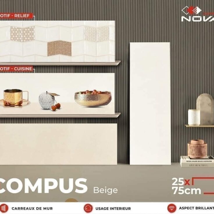 Faïence Compus Beige -25x75 cm - motif  mosaïque et cuisine .