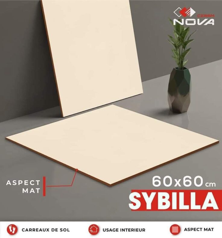 Dalle de sol Sybella Beige et Gris -60x60 cm-Mate – Image 2