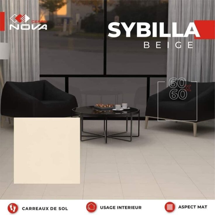 Dalle de sol Sybella Beige et Gris -60x60 cm-Mate