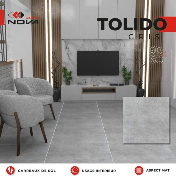 Dalle de sol Tolido  Gris -60x60 cm-Mate