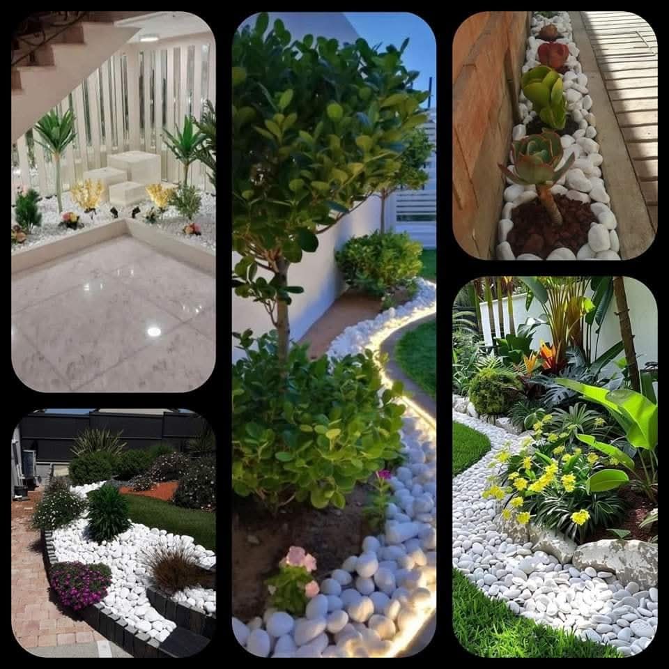 Galets Décoratifs Blanc - Nature, Élégance et harmonie. – Image 7