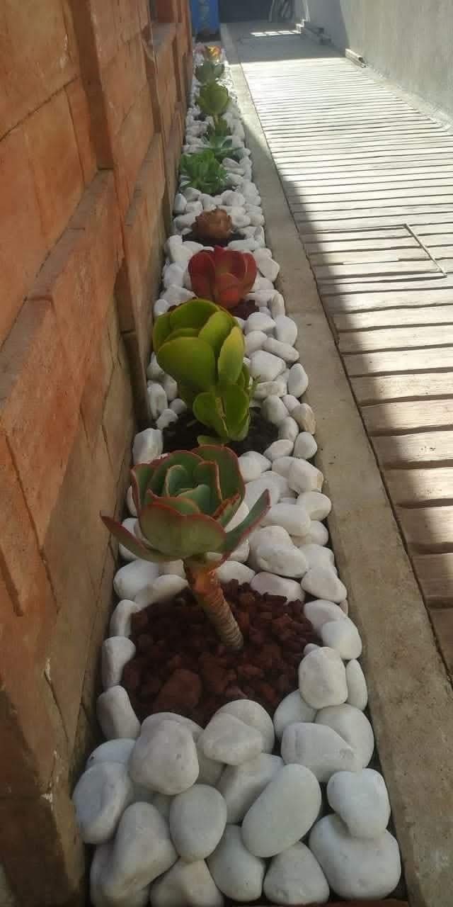 Galets Décoratifs Blanc - Nature, Élégance et harmonie. – Image 6