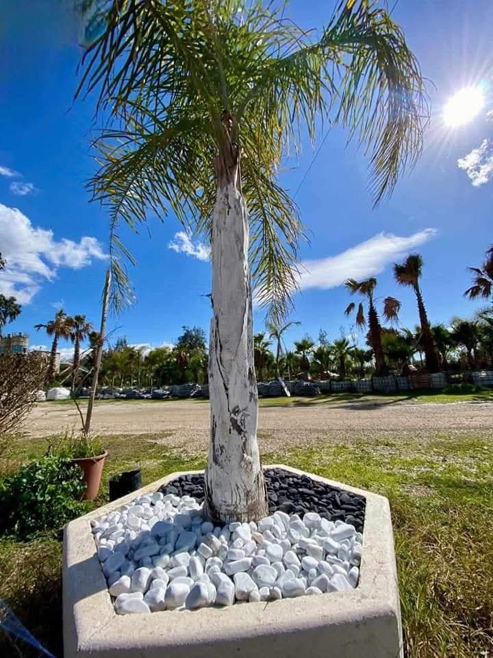 Galets Décoratifs Gris - Nature, Élégance et harmonie. – Image 2